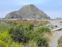 DSCN1610  Coming onto the sand