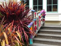 DSCN1624  Yarnucopia