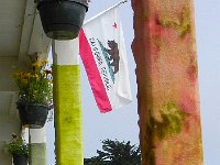 DSCN1626  and even felted columns!