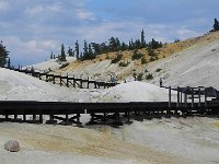 DSCN1638  The crust is weak and so boardwalks are necessary.