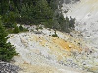 DSCN1643  a study in contrasts!