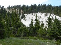 DSCN1645  More contrasts!