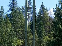 DSCN1653  Pentsock art