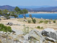 DSCN1658  Trees are migrating downslope.