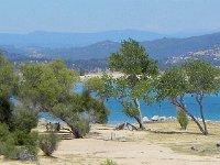 DSCN1662  Grove and Hills