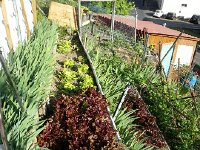 20140701 185457  We are leaving but have conferred the care and harvest from the garden to Mary-Jo and the Cronins