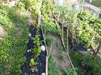 20140701 185530  I have had some concerns during our trip re: the weather