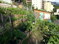 20140701 185547  It seems to have done nothing but rain in Switzerland