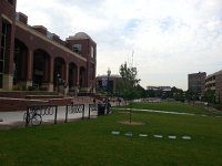 20140717 074800  It was unifomily green!