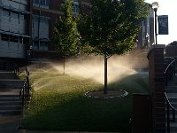 20140719 071021  I guess it all runs back to the Truckee