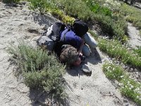 DSCN1788  Many of the participants were also botanists.