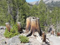 DSCN1789  Century-old signs of human use