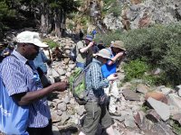 DSCN1791  Army of foreigners fascinated by squirrel