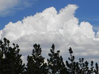 DSCN1810  Convective activity on the increase