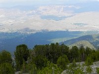 DSCN1812  Treeline on the drier Nevada side of the mountain