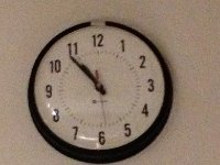 IMG 0225  time of her first of many lactation sessions