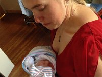 IMG 0231  What do you see?