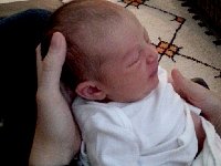 20140720 195048  Nominal behavior