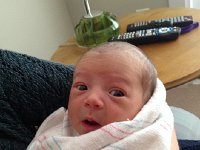 IMG 0264  who considers us back.