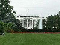 20140724 171914 Richtone(HDR)  Michelle&#39;s kitchen garden is to the left