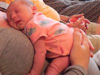 DSCN1856  Life is tiring work!