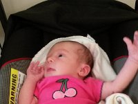 20140727 011943  The star of Hyattsville!