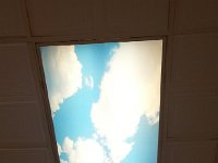 20140731 075047  Truly illuminated