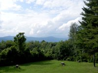 DSCN1899  The Greylock range