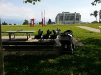20140602 163928  2 June - Industrial strength strollers at UniL