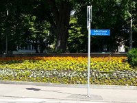 20140606 102928  6 June - Replanted garden in Bern