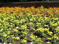 20140606 102957  Closer up