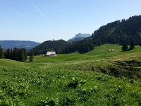 20140607 101335  Alpage de Montbrion, looking toward Teysachaux