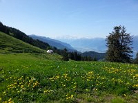 20140607 102353  Looking S over Plan de Chatel toward les Dents du Midi