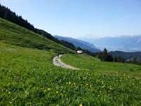 20140607 102418  Bikers up here too!