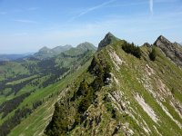 20140607 122817  there is still a trail but how far does it go?