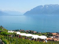 20140608 151240  Between Chexbres and Rivaz