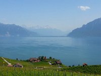 20140608 155128  Wow!