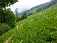 20140614 125603  June 14 - Hiking from Caux down to Jor