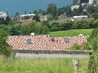 20140628 112221  From Chernex we went to Clarens and back to Bächli