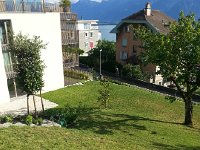 20140630 184134  30 June freshly mowed lawn