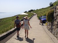 IMG 0123  A wonderful place to stroll