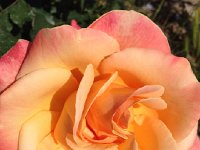 IMG 0128  of an already stunning place!