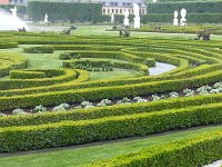 20140611 162346  Fun with box wood I