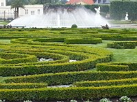 20140611 162407  Fountain and Fun with box wood II