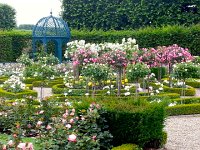 20140611 162619  Roses in a side garden