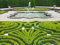 20140611 162821  Fun with box wood III