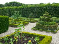 20140611 163551  Topiary in another side garden