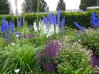 20140611 170736  Across the street was a botanical garden