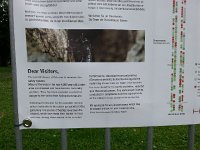 20140611 173311  Just when you thought you could replace those old trees, rare beetles show up!