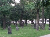 20140612 214128  No wonder cemeteries are a feature of the urban landscape